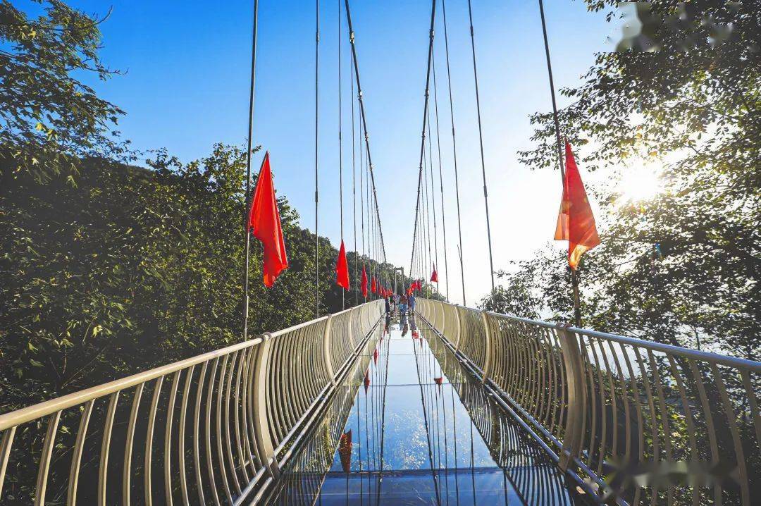 景在脚下游脚下是万丈的深渊,脚上是仙境般的美景玻璃桥藏于群山翠绿