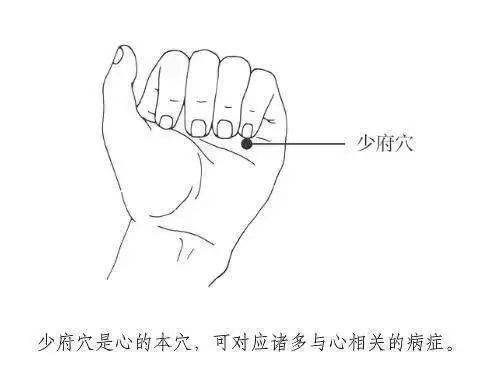 扶兔的准确位置图片,天中的准确位置图片 - 伤感说说吧