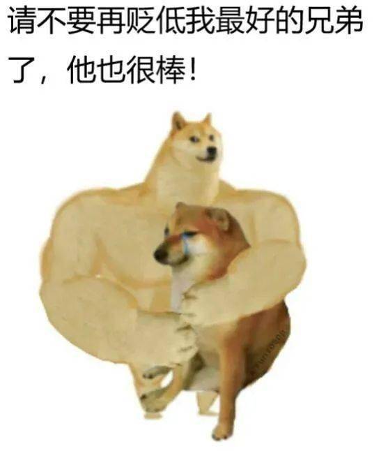 继肌肉doge和小废狗表情包大火后,猫咪版本也来了!_网友