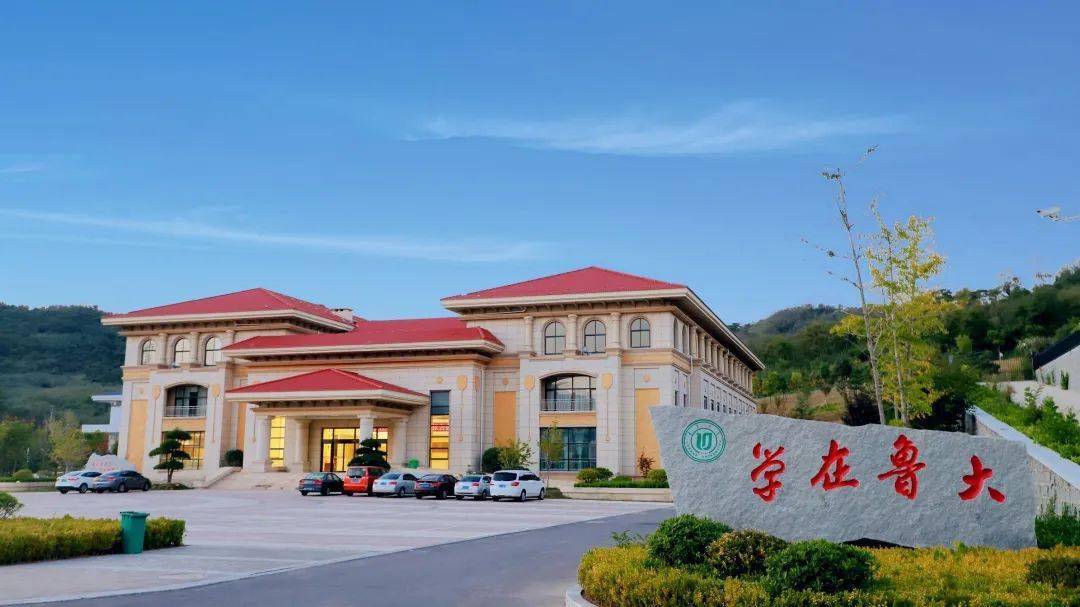 一串来自鲁东大学的神秘代码