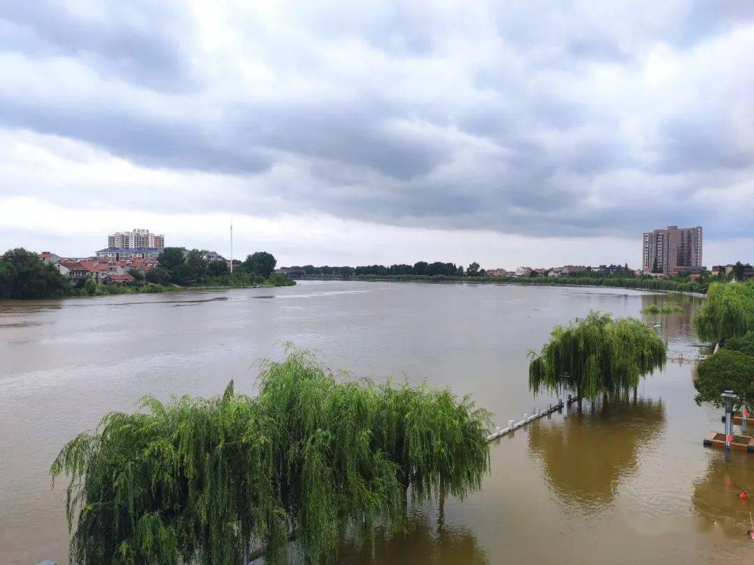 滠水河水位还在涨防汛守堤正在进行