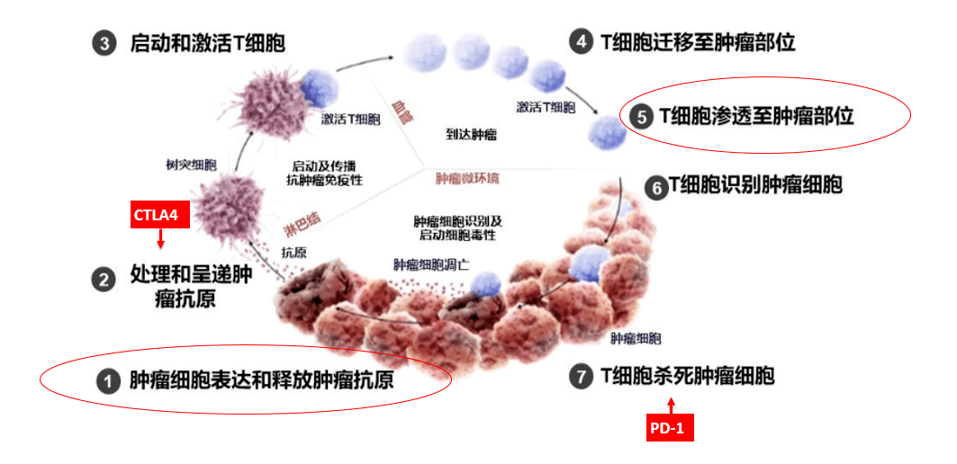 精準百家談之圓桌派 | 肝膽腫瘤權威指南共識更新和免疫治療進展