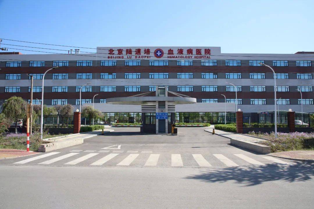关于北京医院过来人教你哪里有号!的信息