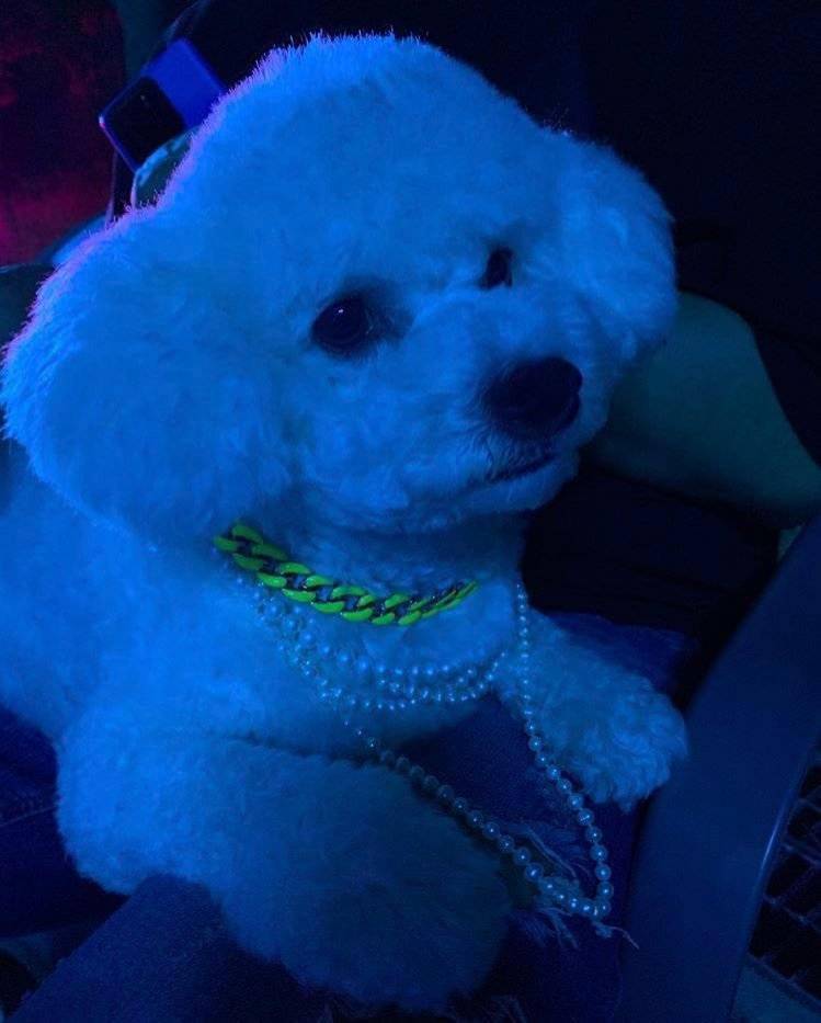 吴vivi《on me》mv拍摄花絮可爱来袭!