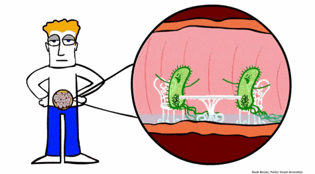 640_354gif 动态图 动图