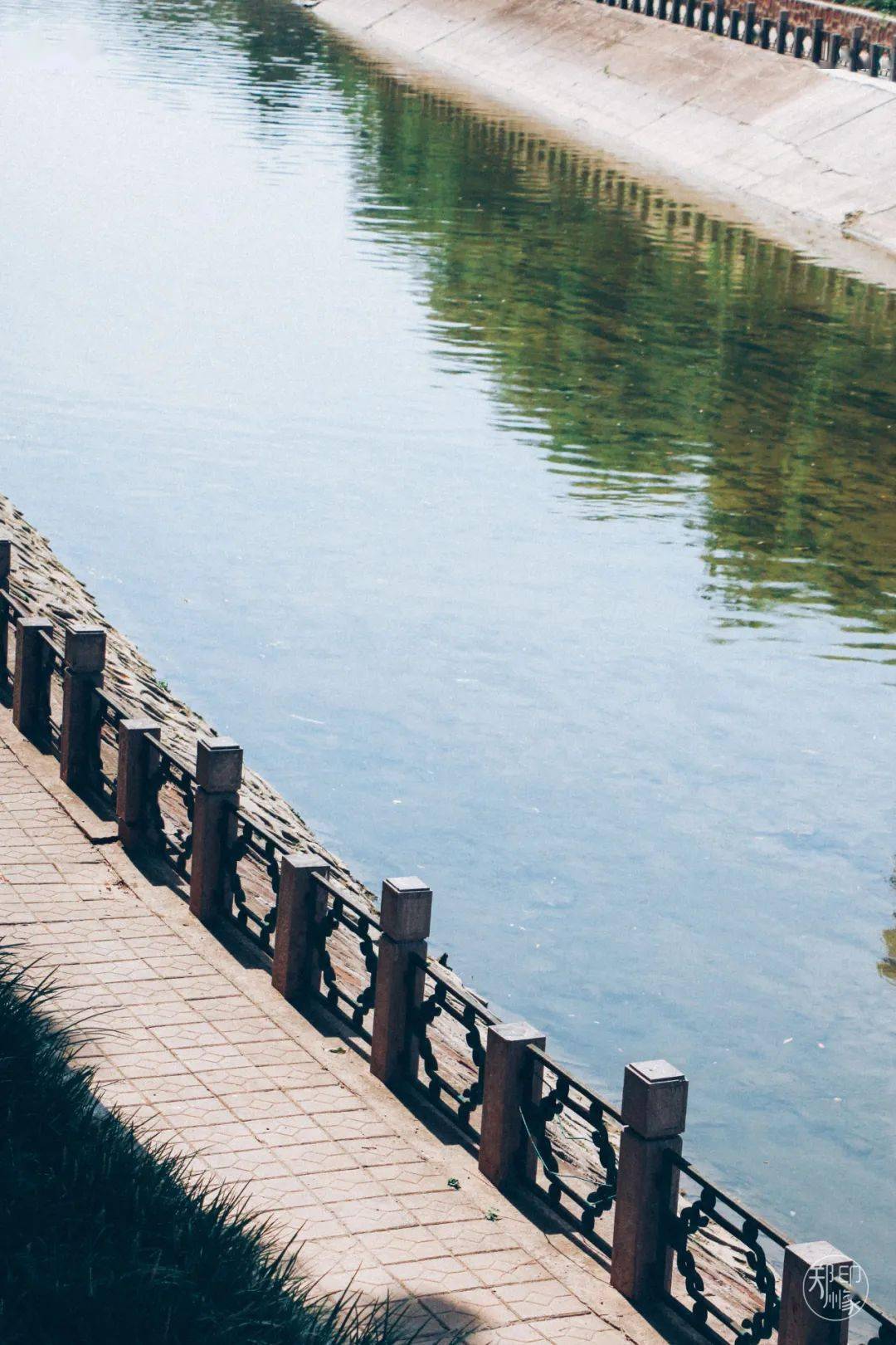 但要论长度,郑州市区最长的公园,当属金水河滨河公园!