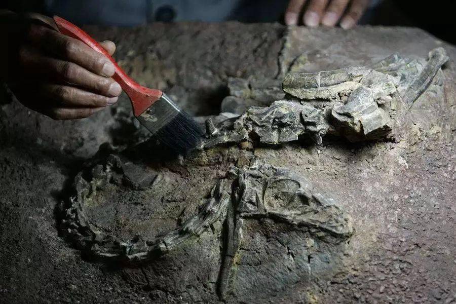 旁边的化石模型,大家都跑过去和它比比身高……突然,大骨头颤抖了起来