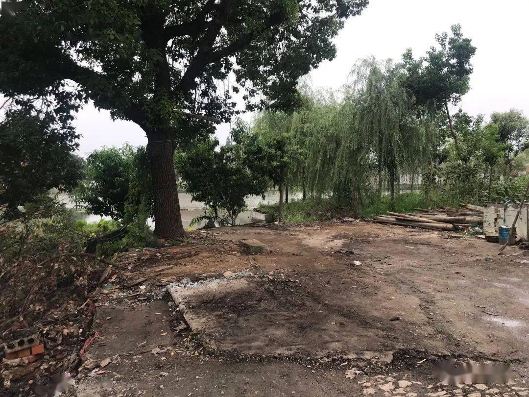 整治前整治后整治前此次清理活动主要对社区辖区内的卫生死角,建湖路