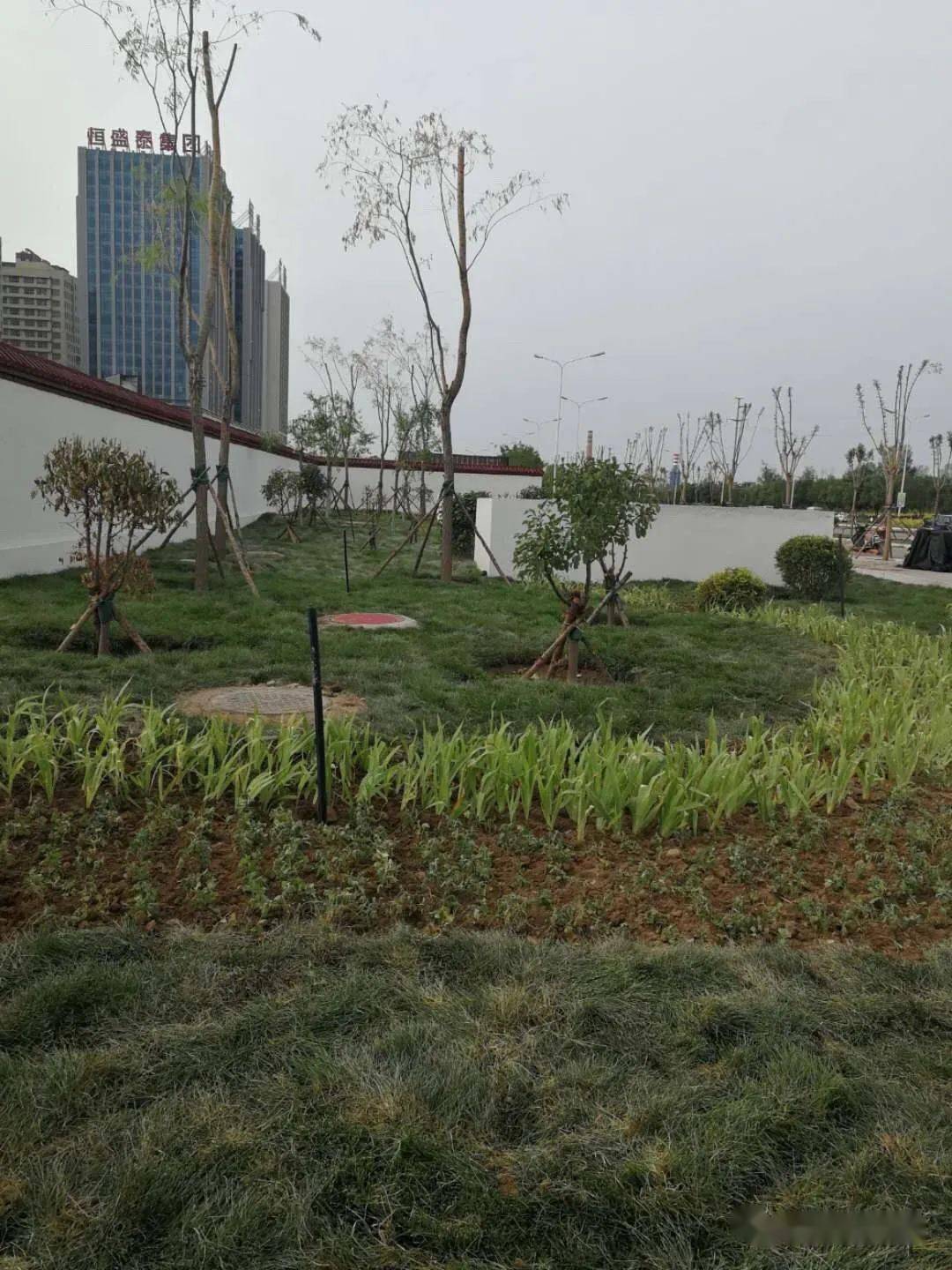 轨道交通公司全力推进地铁2号线沿线绿化恢复工程