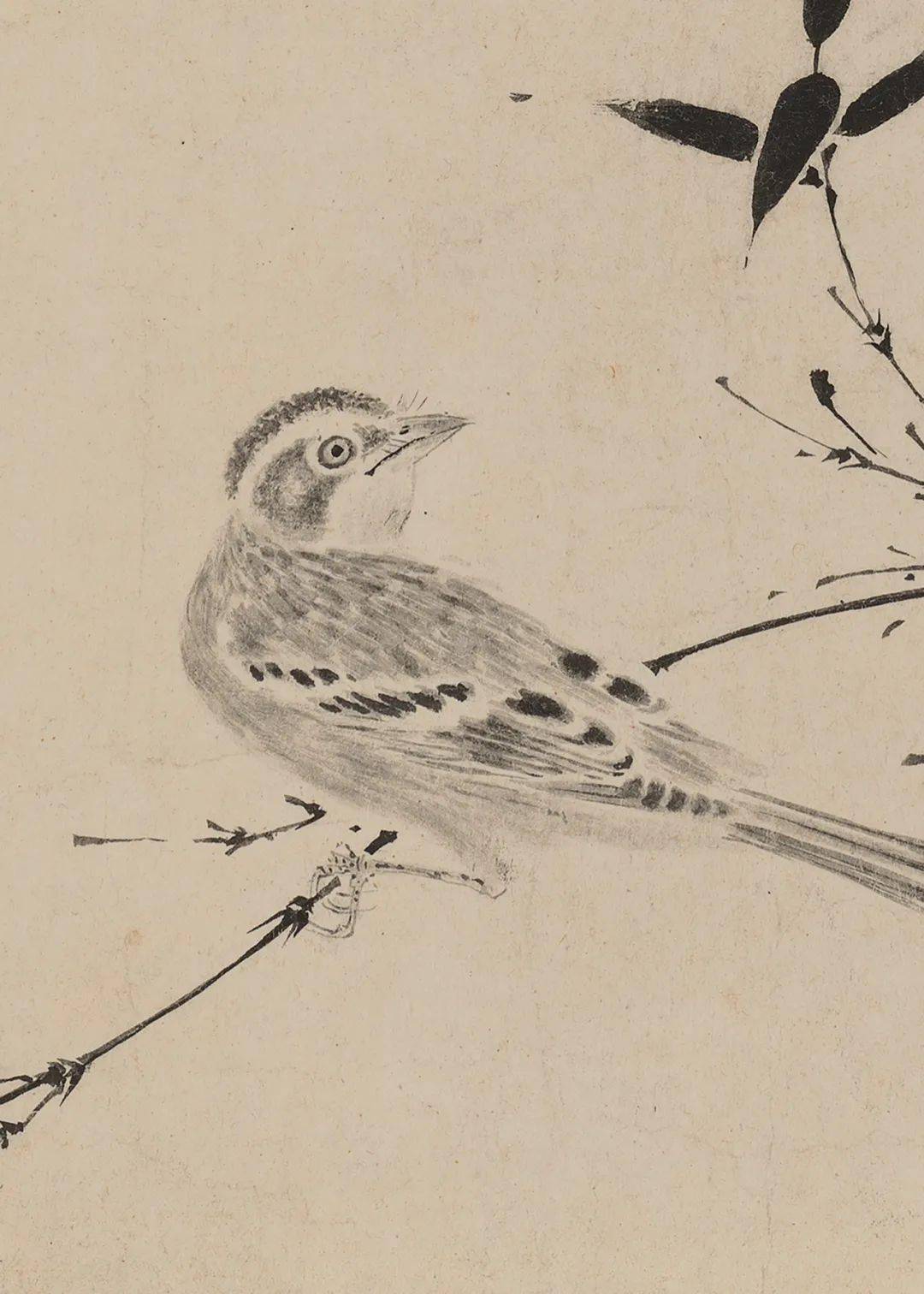 宋徽宗:写生珍禽图