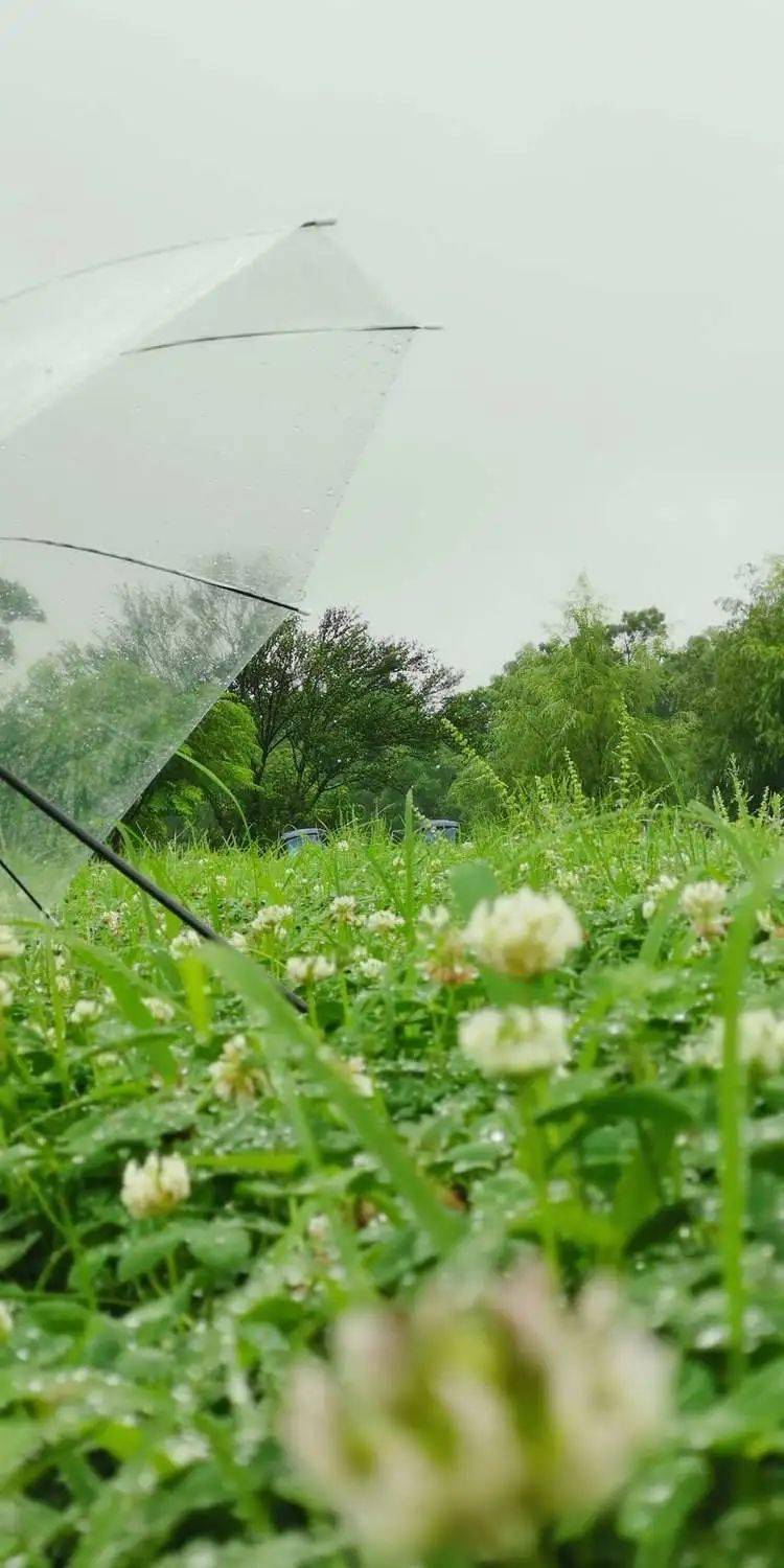 落雨的时候学会为自己撑起一把伞