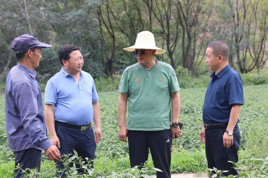 【蒿林动态】省政协副秘书长张效林深入蒿林乡调研"双椒"产业