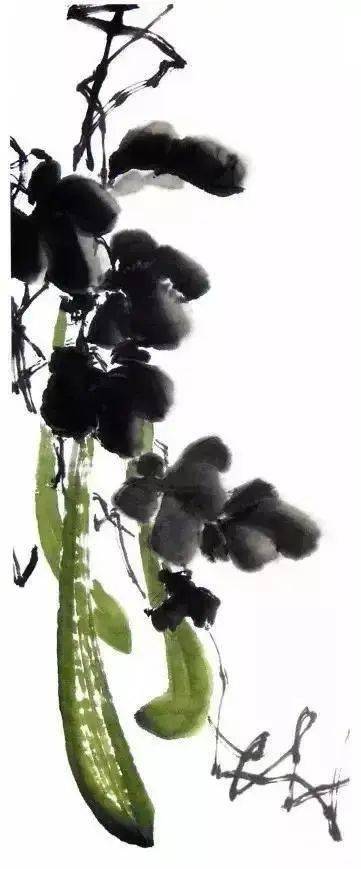 写意丝瓜叶子藤蔓花瓣的画法