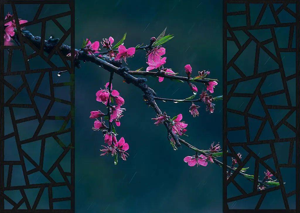 伤感之美,五首冷门诗词邀你月下倚玉阑_梅花候