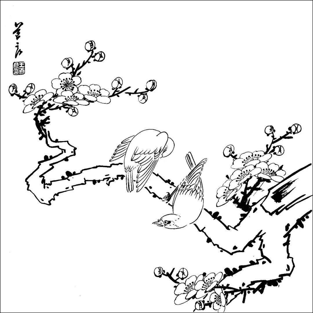 花鸟的白描,就应该这么画