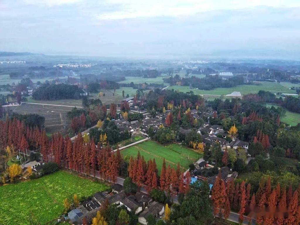 使崇州所拥有的川西林盘体系真正成为乡村振兴中的"聚宝盆",为成都