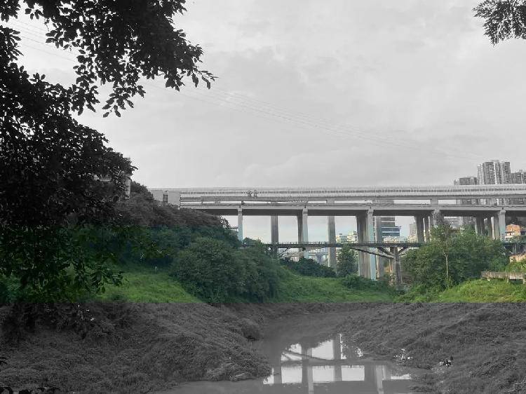 快来打卡!重庆再现"新景观",这里可以一眼看五桥