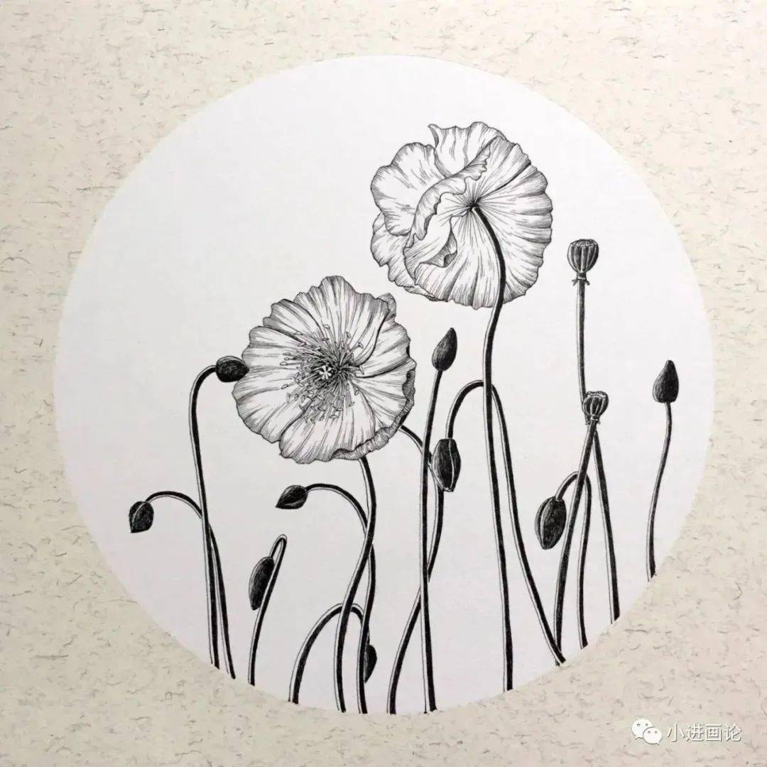 和小进老师学线描 | 古风花卉福利课-搜狐大视野-搜狐新闻