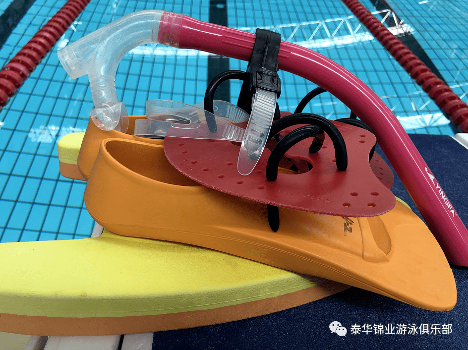 你知道游泳训练有哪些辅助装备么?
