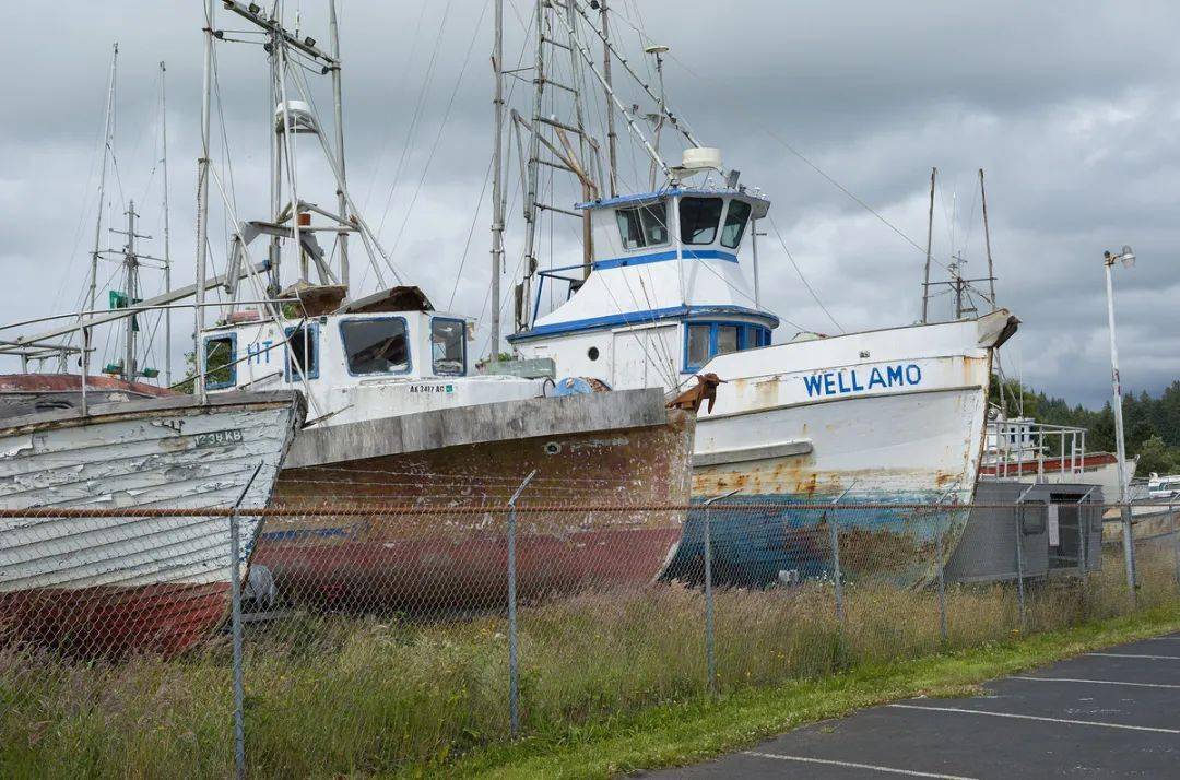 徕卡m10-r样片赏