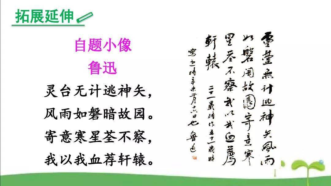 【微课堂】统编版八年级上册第6课《藤野先生》教学