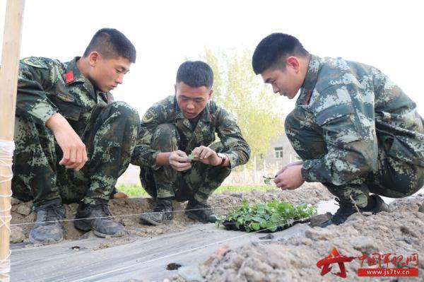 兵哥的开心农场喜获丰收了