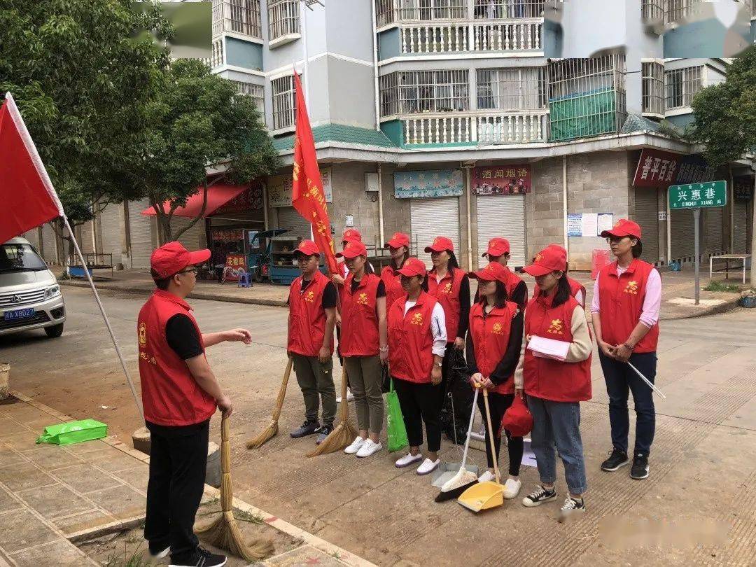 【创文进行时】青年志愿服务大队集中开展新时代文明实践"清洁家园 有