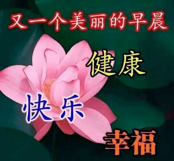 夏季最暖心的早上好问候语早晨好问候祝福表情图片大全