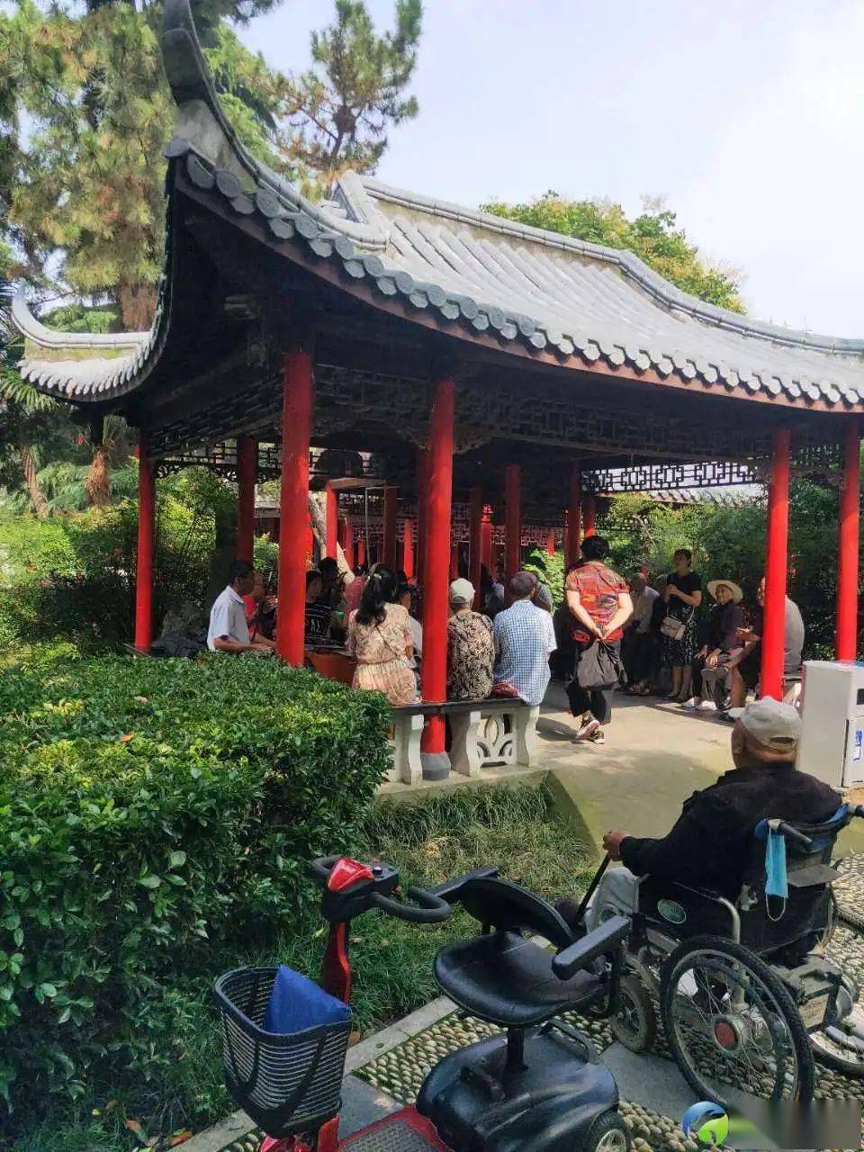 海陵公园老人扎堆打牌园区为创文决定清理桌椅你怎么看