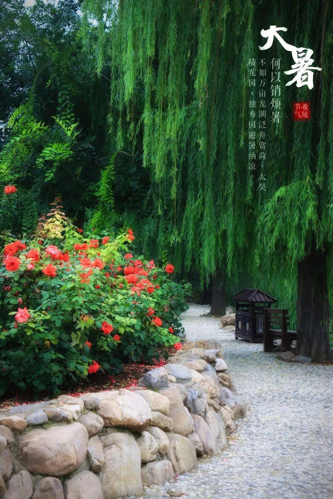 二十四节气丨大暑