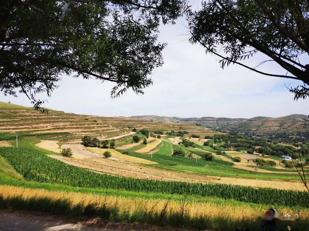 会宁真实的农村是这样的还有奇观