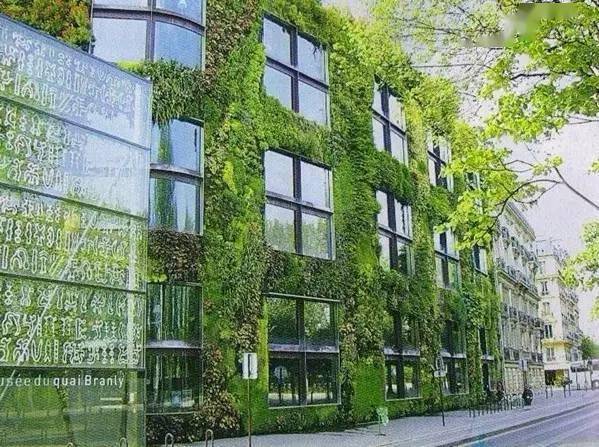 绿荫四壁 | 植物正在逐渐淘汰外墙砖