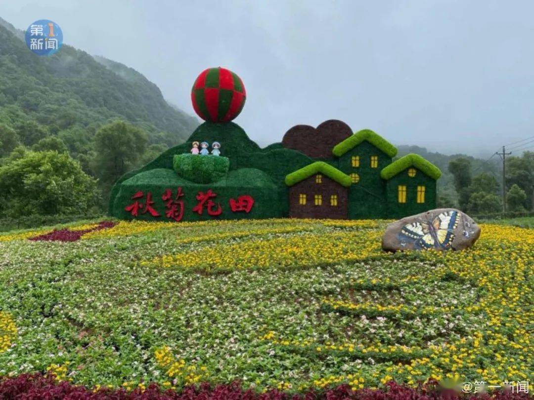 陇县秋菊山庄花开正好!赶紧安排