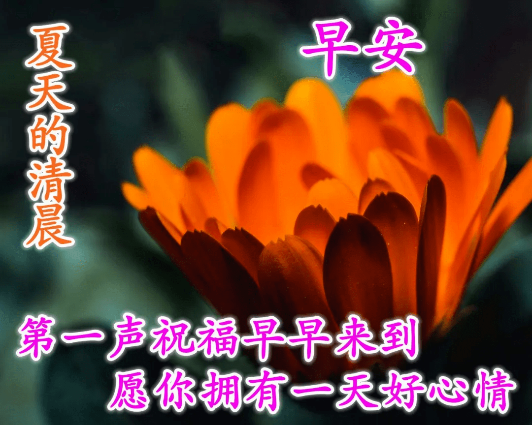 六月初一早上好问候语图片大全,最新最全的早上好祝福句子带图片