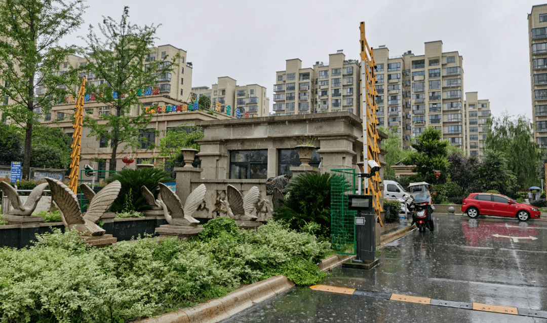 城南"避水"的佼佼者_庐江县