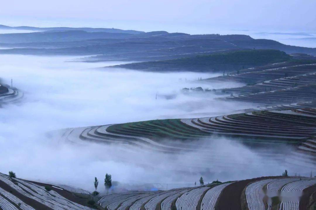 【漂亮】寧夏彭陽:梯田雲海 宛如仙境_來源