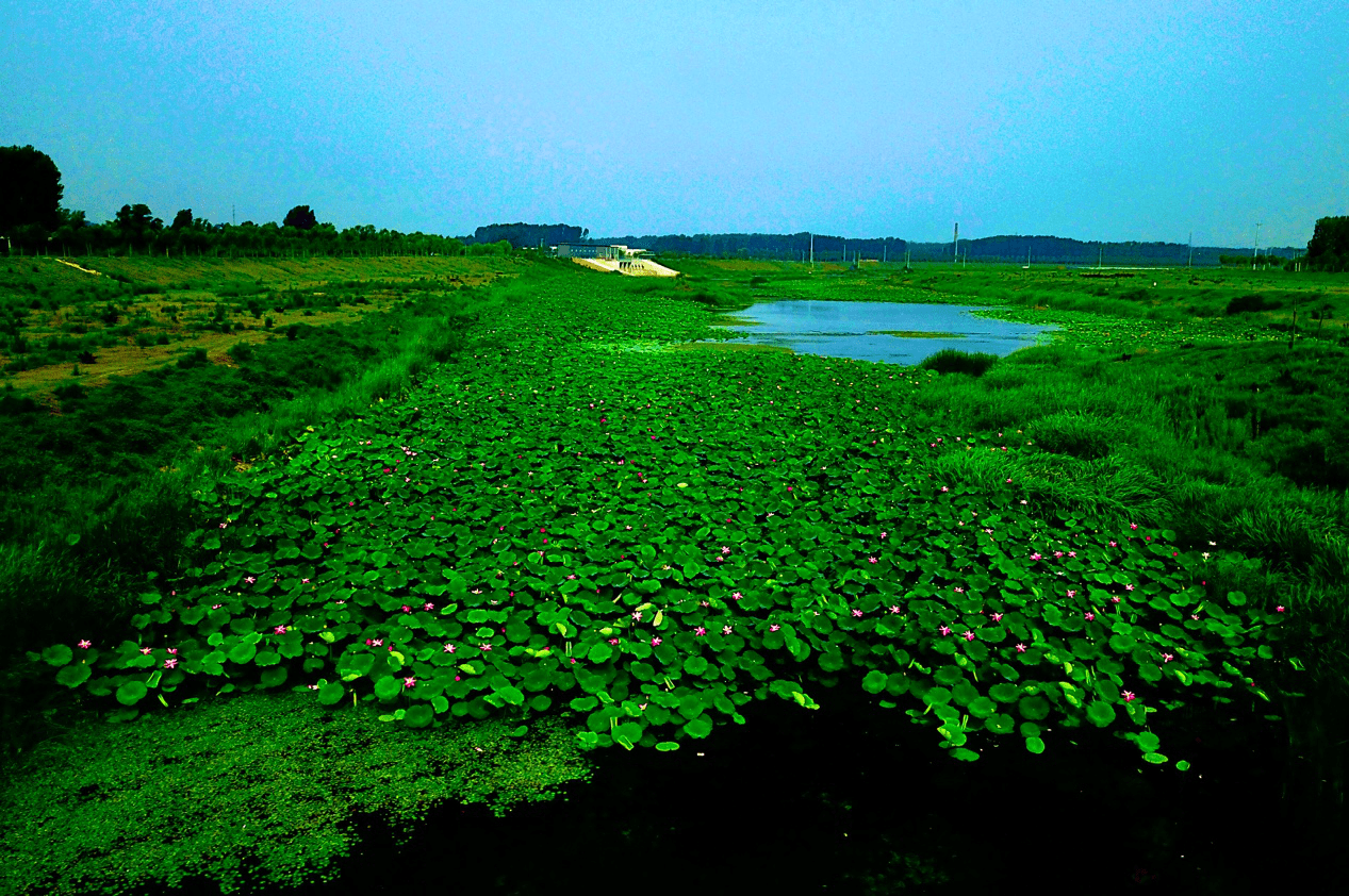 北京房山区生态环境局多措施监测汛期河道水质