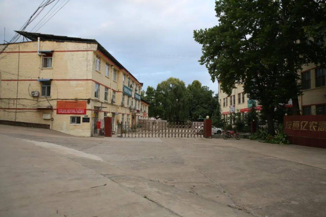 西京人你还记得洛南四个老厂吗这些照片和视频里有你的回忆吗