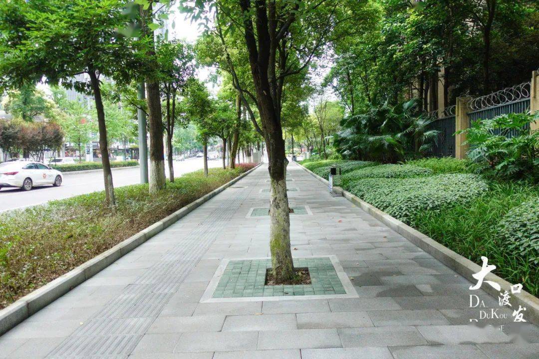 民生实事丨大渡口打造人行道示范道路7公里已完成任务目标75