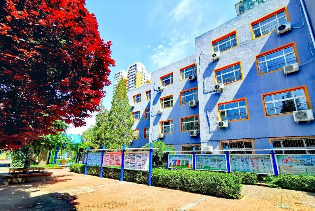 中科附"拍了拍"你——中国科学院附属实验学校高中部招生简章