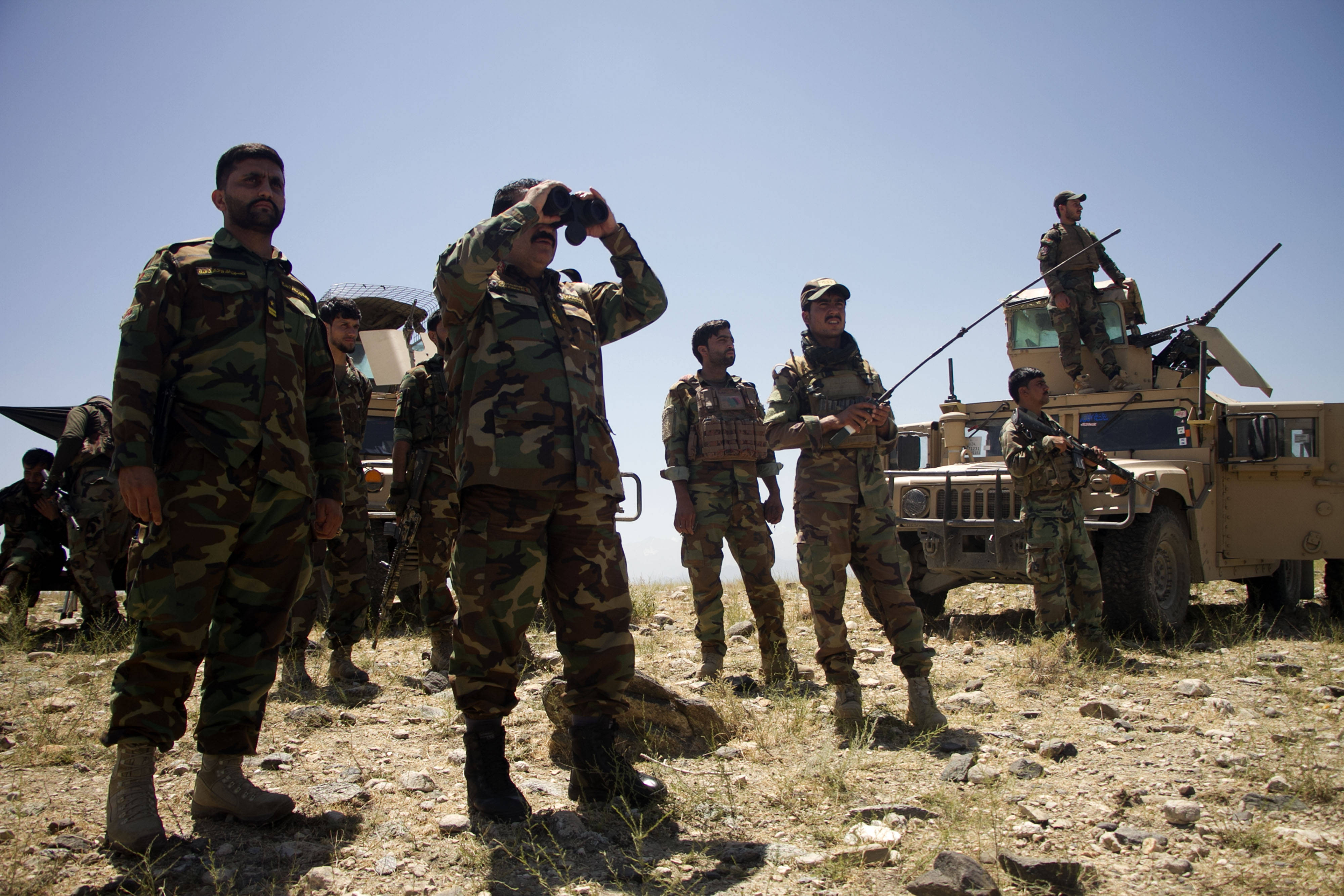 塔利班占领阿富汗图片