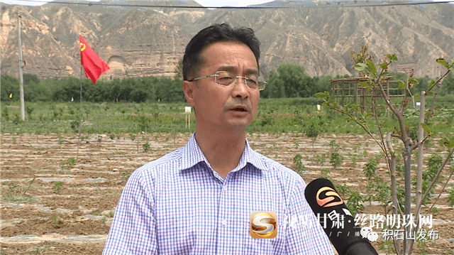 临夏州积石山县田园观光农业为乡村振兴发展拓出新路子