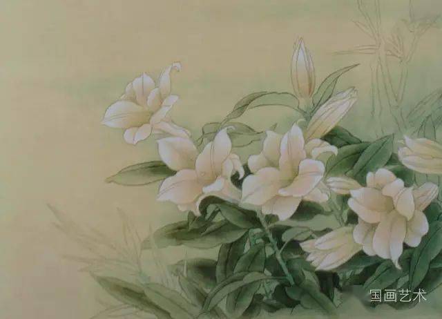 图文教程工笔百合创作步骤解析