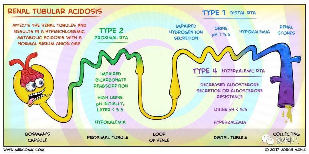 intoxication(甲醇中毒) u remia(尿毒症) d iabetic ketoacidosis