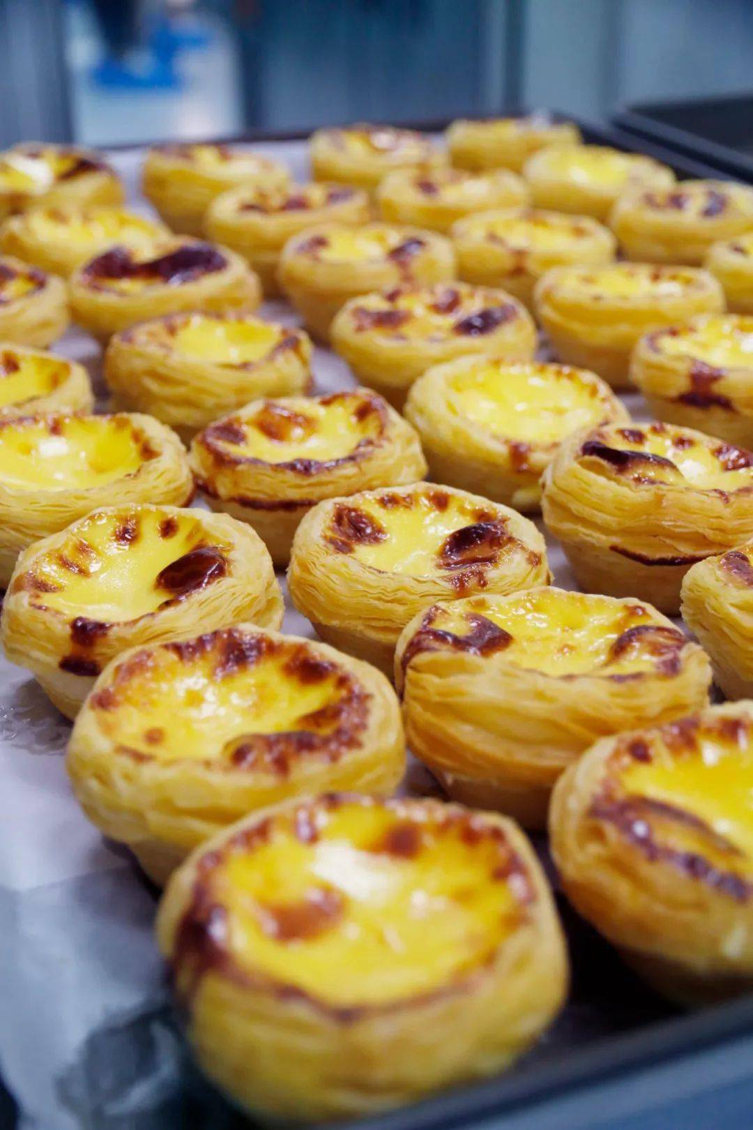 爱宁庄里首家正版鲍师傅终于着陆集美们最爱的酥松小贝蛋挞统统免费送