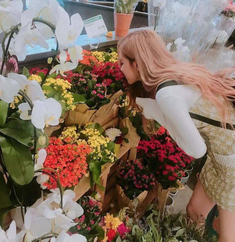 微信头像朴彩英ros07