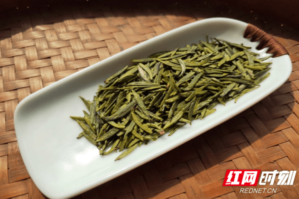 华汉庄园生产的雪笋茶.