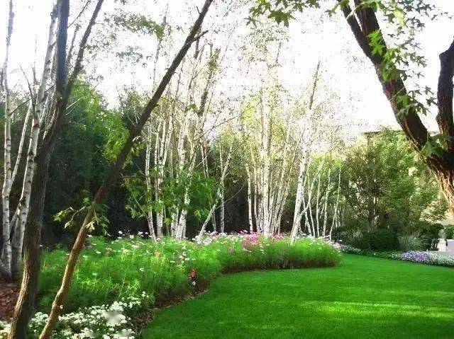 超实用秘籍 ·植物组团配置_灌木