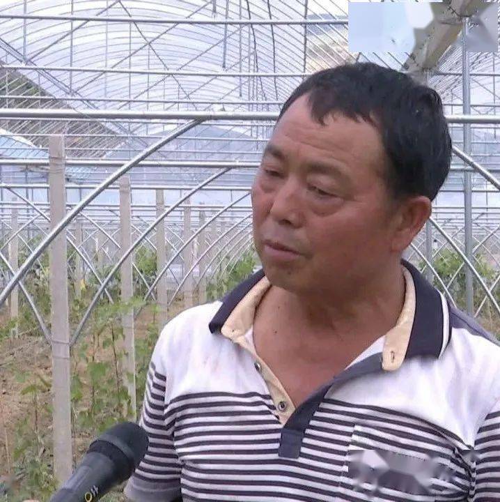 宾川县乔甸镇:沪滇协作项目助力脱贫攻坚