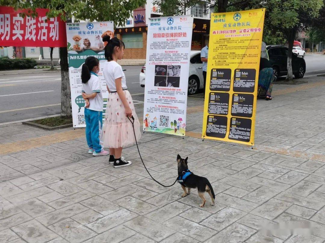 新时代文明实践我和不文明养犬杠上了主题活动第一阶段圆满结束常态化